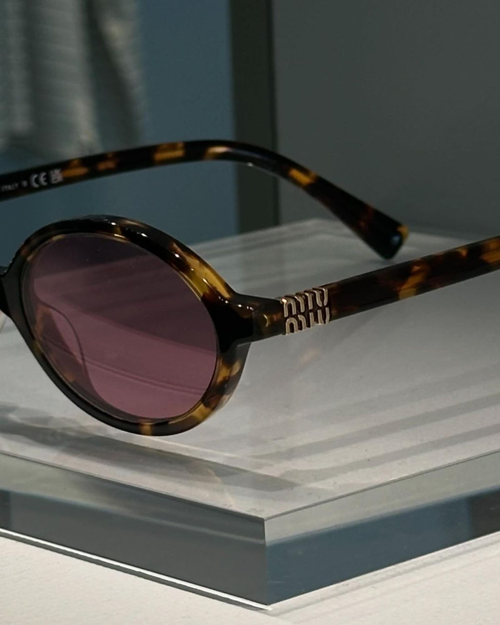 Miu Miu Rose